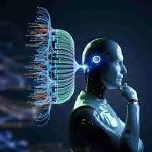 ISSUES AND CHALLENGES OF AGENTIC AI IN THE FINANCIAL SECTOR